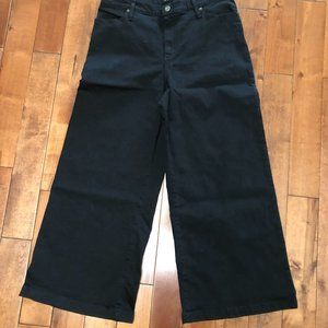 Iris Demin "Edge of Seventeen" Jeans in Black, Size 31